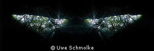 Watching you -
Image is mirrored by Uwe Schmolke 
